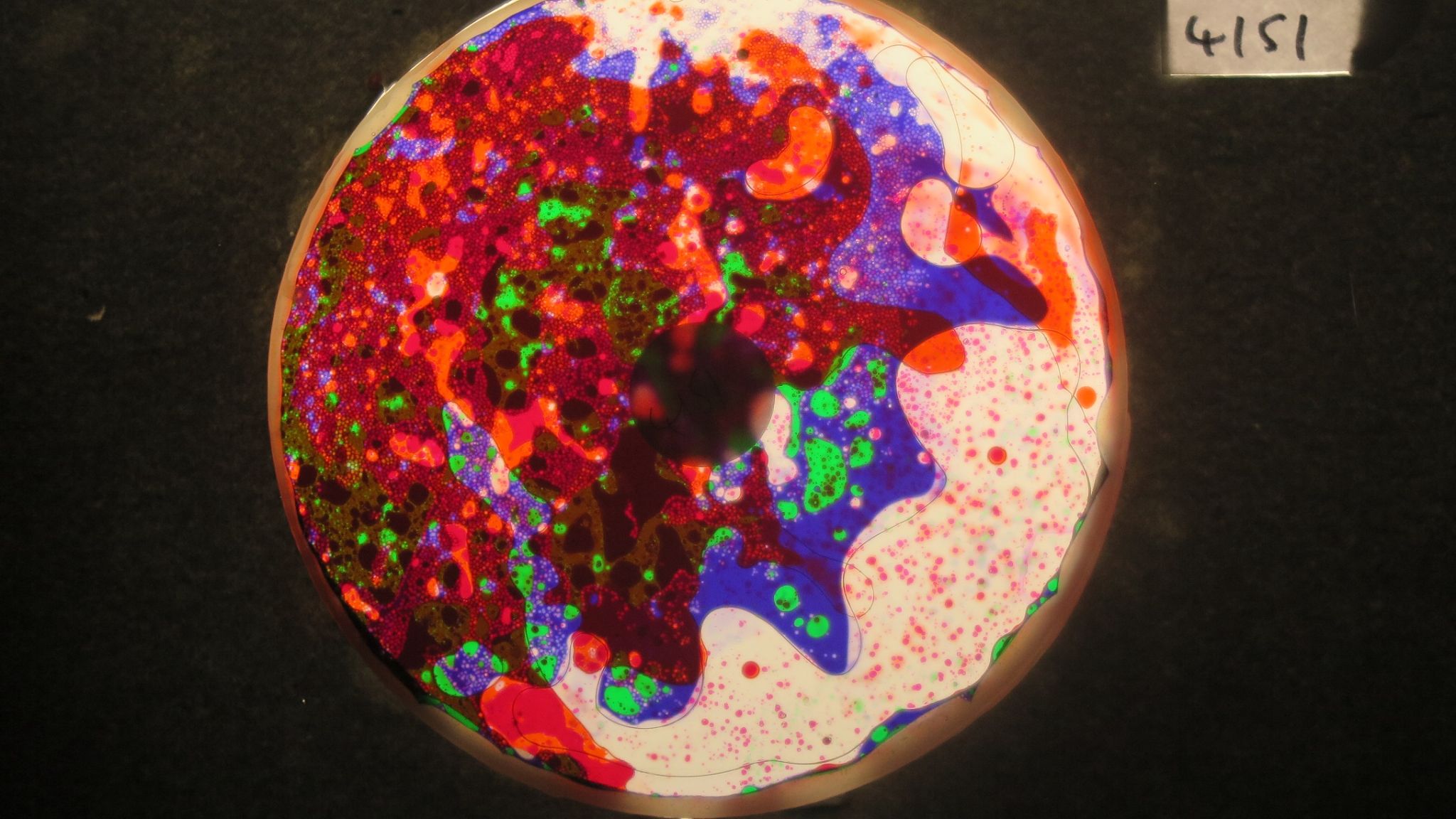 BV4151 bubble vision oil wheel